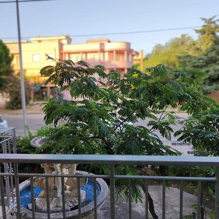 B&B Mazzini Grottaglie Zewnętrze zdjęcie